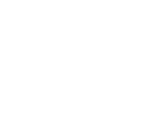Logo_ipso-facto_white